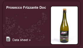Prosecco Frizzante Doc Primus